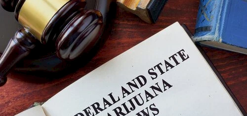 Weekend Roundup: Legalizing Marijuana, Hiring Kind People, Chief Officer of Fun