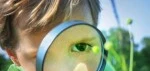 Where do criminal background checks come from?