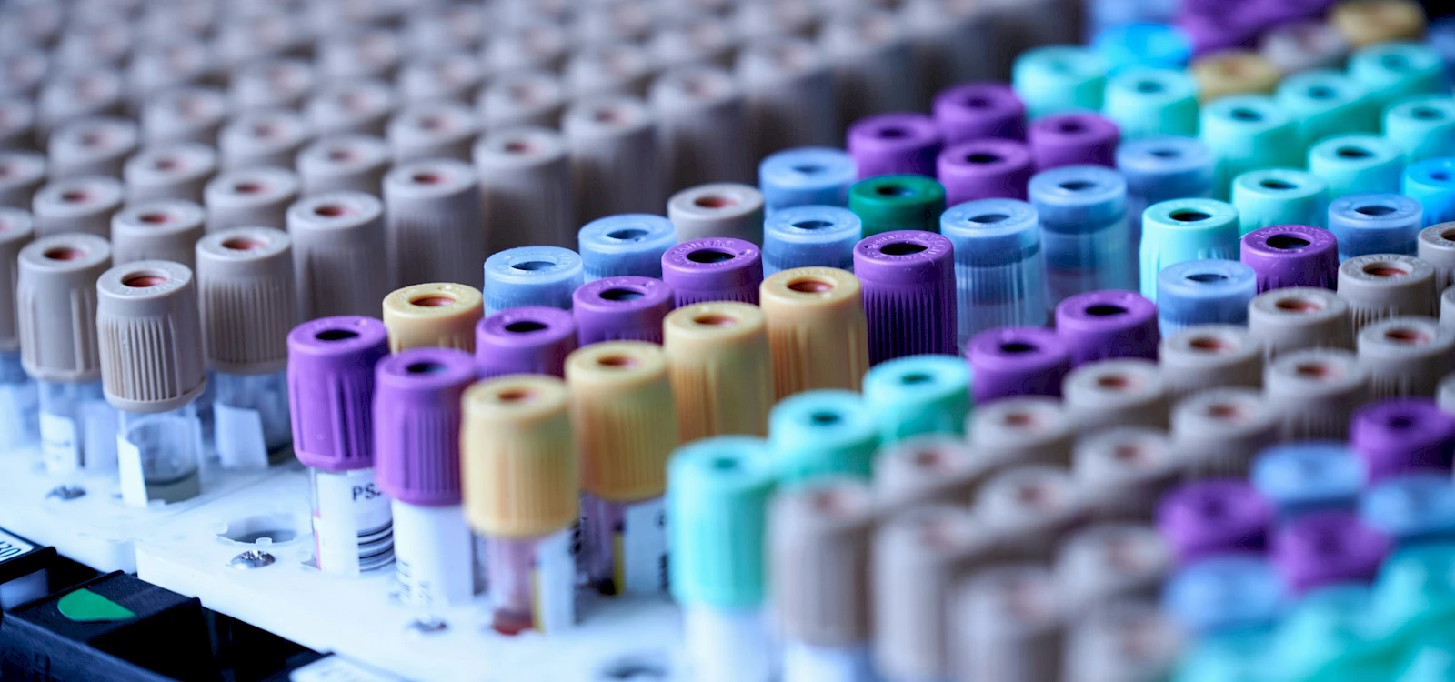 Workplace Drug Testing: Pros and Cons