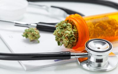 Weekend Roundup: A New Medical Marijuana State, Equal Pay Legislation, and More